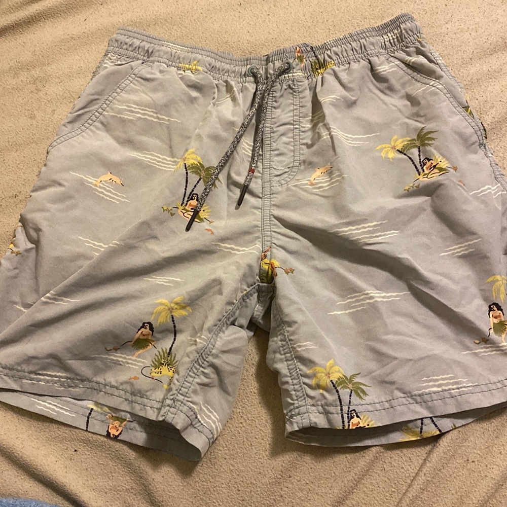 Katin blue hawaiian swim trunks